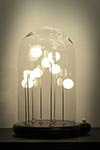 Germes de Lux socle noir. Les artisans d'art. Germes de Lux socle noir. Les artisans d'art.