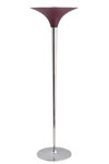 Boston lampadaire avec verrerie aubergine. Concept Verre. Boston lampadaire avec verrerie aubergine. Concept Verre.