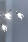 Guirlande Suspension ovale 15 lumières finition métal brillant. Harco Loor. Guirlande Suspension ovale 15 lumières finition métal brillant. Harco Loor.