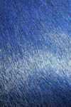 Peau de vache entière teintée bleue. Santelmo. Peau de vache entière teintée bleue. Santelmo.