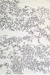 Tapis de salon Nature Négatif 170x240cm. Toulemonde Bochart. Tapis de salon Nature Négatif 170x240cm. Toulemonde Bochart.