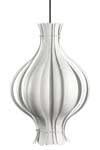 Onion blanc PM. Verpan. Onion blanc PM. Verpan.