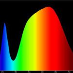 Spectrum of a balanced LED