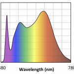 Spectre des ampoules LED Soraa Vivid MR16 à 4000K