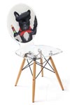 Chaise  en plexiglass transparente Graph Dog Wine. Acrila. 