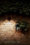 Outdoor wall light double copper and patinated brass square support powerful LED lighting. Aldo Bernardi. 