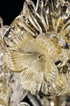 Agadir lustre chandelier or et transparent 12 lumières. Barovier&Toso. 