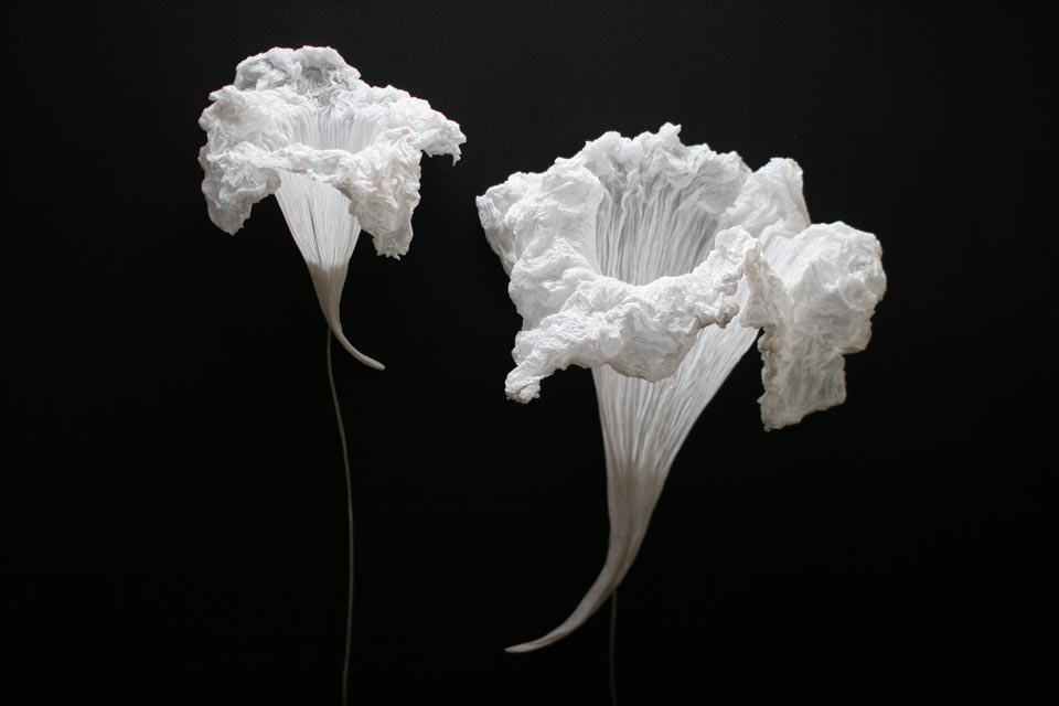 Petite applique blanche Fleur aquatique | Les artisans d'art | Luminaires  en résine et laiton | œuvre d'art lumineuse - Réf. 18100102