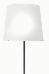Single lampadaire chromé avec verrerie acidée blanche. Concept Verre. Single lampadaire chromé avec verrerie acidée blanche. Concept Verre.