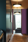 RING pendant in  brass satin and graphite  finish and white diffuser. CVL Luminaires. 