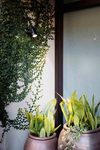 Small outdoor spotlight with narrow beam LED lighting . Faro. 