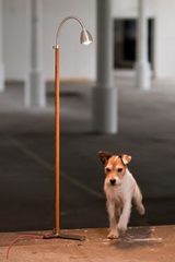 Athene Wood lampadaire LED en bois et aluminium fil rouge. Less Athene Wood lampadaire LED en bois et aluminium fil rouge. Less