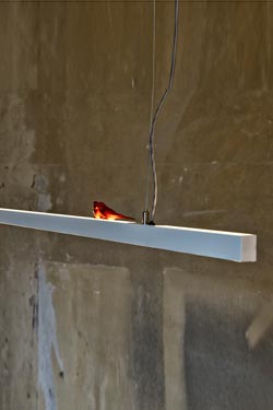Suspension LightLane 120cm petites perruches rouges. LichtRaum Funktion. 