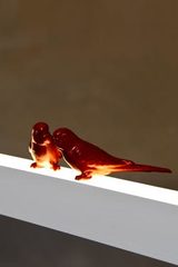 Suspension LightLane 120cm petites perruches rouges. LichtRaum Funktion. Suspension LightLane 120cm petites perruches rouges. LichtRaum Funktion.