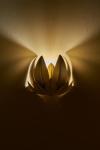 Leaves gold wall lamp. Matlight. 