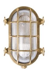 Tortuga applique d