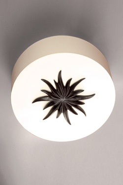 Round ceiling lamp and patinated black bronze rosette. Objet insolite. 