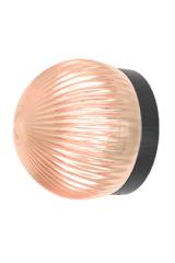 Small wall light in black metal and transparent smoked glass Roi. Robin. 