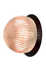 Small wall light with black metal disc and smoked glass Roi. Robin. 