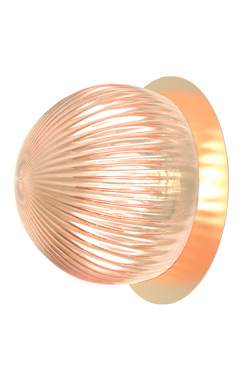 Small wall light with satin brass disc and smoked glass Roi. Robin. 