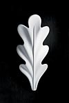 White plaster oak leaf shaped wall lamp . Sedap. 