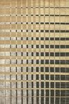Tapis Isadora Gold 170X240 cm. Toulemonde Bochart. 