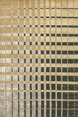 Tapis Isadora Gold 170X240 cm. Toulemonde Bochart. Tapis Isadora Gold 170X240 cm. Toulemonde Bochart.